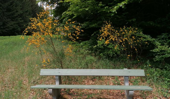 Photo 1 of the Bikemap route "Gartenstraße 12, Dernbach nach Gartenstraße 12, Dernbach"