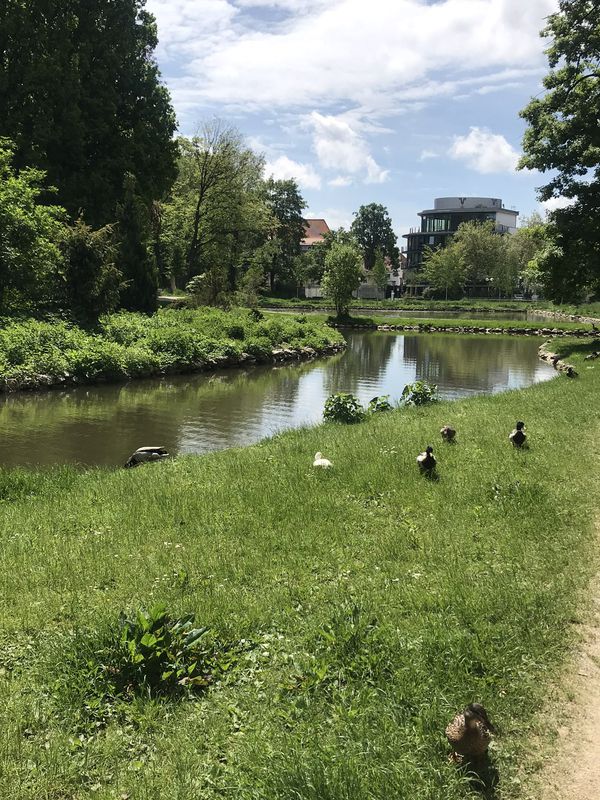 Langsame Fahrt in Burgrieden