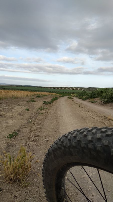Vereda de Santaella - Turullote - Vereda de la Trocha