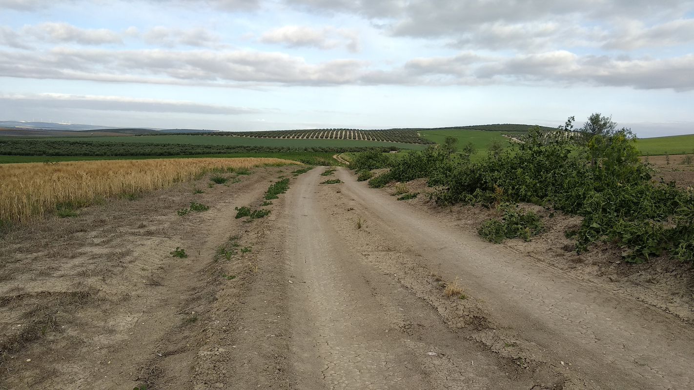 Vereda de Santaella - Turullote - Vereda de la Trocha