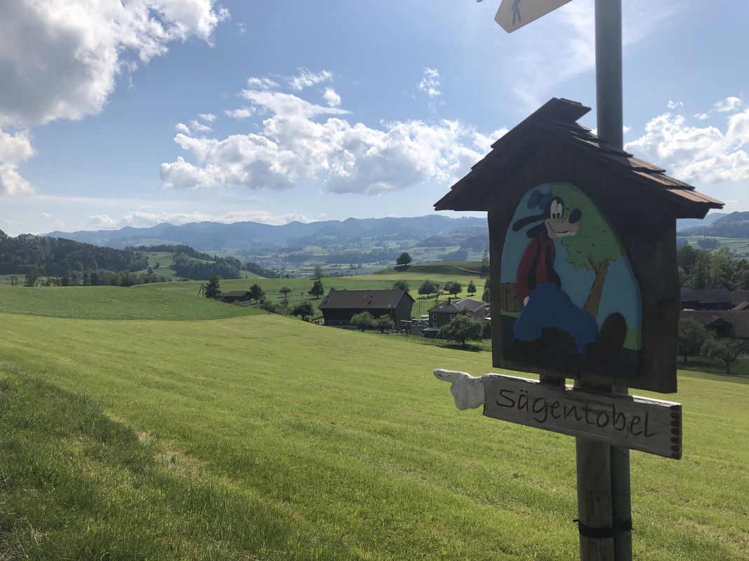 Ganterschwil, Lütisburg, Windrädli-, Comic-Weg, Weidli,Ganterschwil