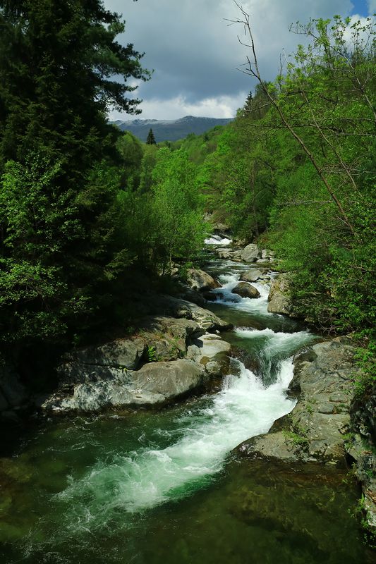 Elogio del Ponte Molino dell’Avvocato nella Valle del Malone