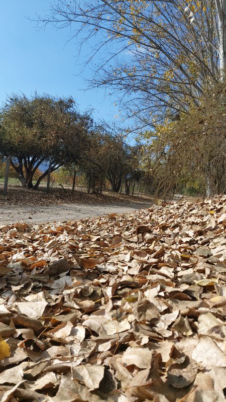 Rancagua - La Rubiana - Chancon - Campo De Minas - Rancagua