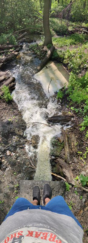 Боярский лес и джерело