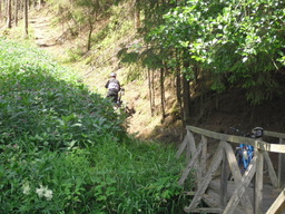 Hebe Bild 1 entlang der Bikemap-Route "GER Frankenwald Neumühle - Mittelberg" hervor