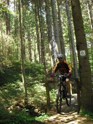Hebe Bild 9 entlang der Bikemap-Route "GER Frankenwald Neumühle - Mittelberg" hervor