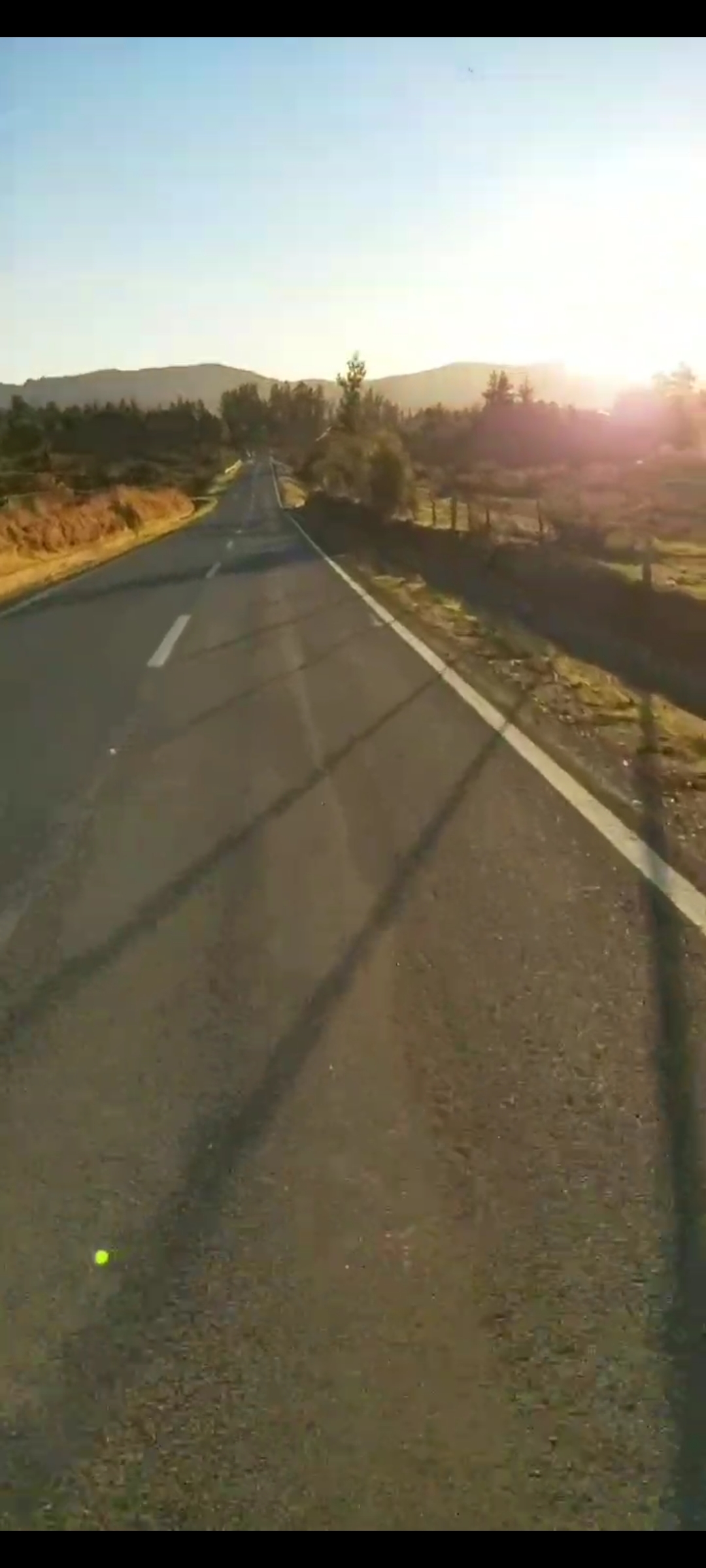 Los despachos San Jose Camino Coronel- Llollehue