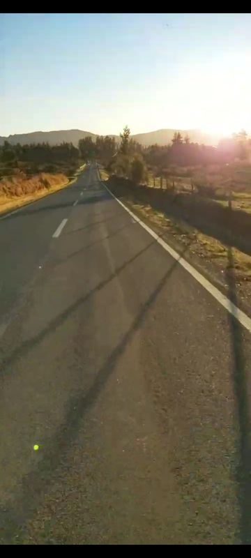 Los despachos San Jose Camino Coronel- Llollehue