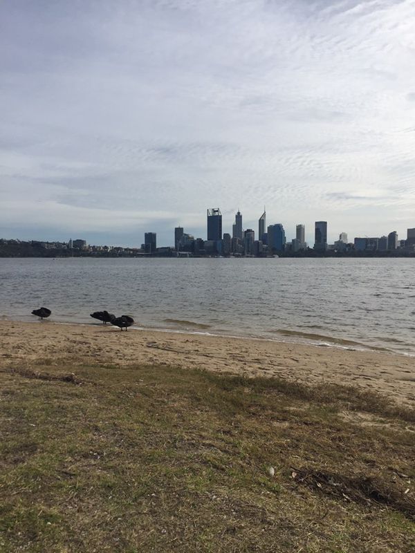 south perth foreshore