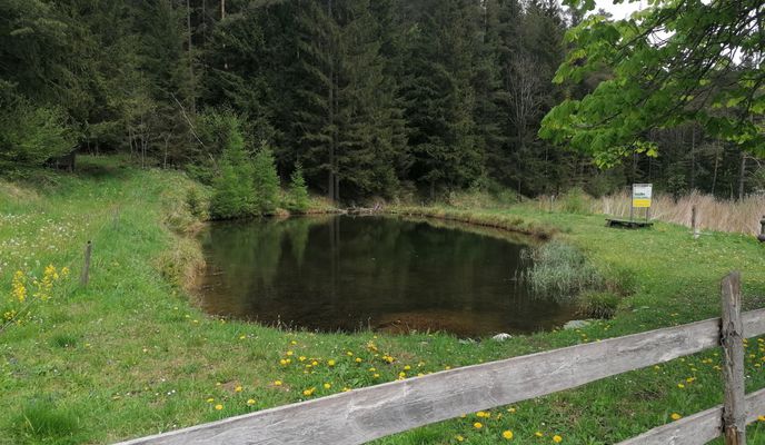 Foto 2 der Bikemap-Route "Mislinja-Podgorje-Zgornji Razbor-Mislinja 13.05.2020"