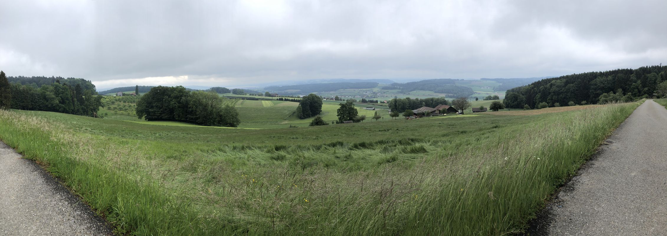 Kreuzberg-Zügholz-Route (Dagmersellen-Uffikon-Buchs-Dagmersellen)