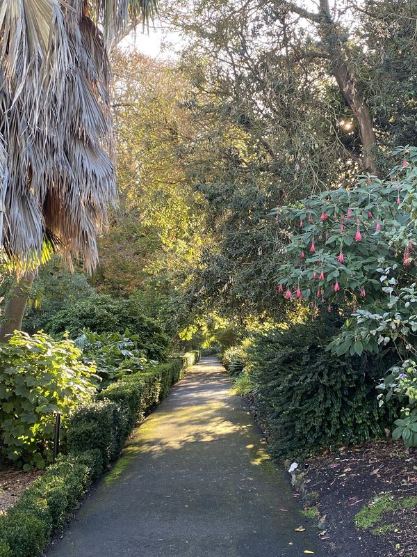 walk in East Geelong