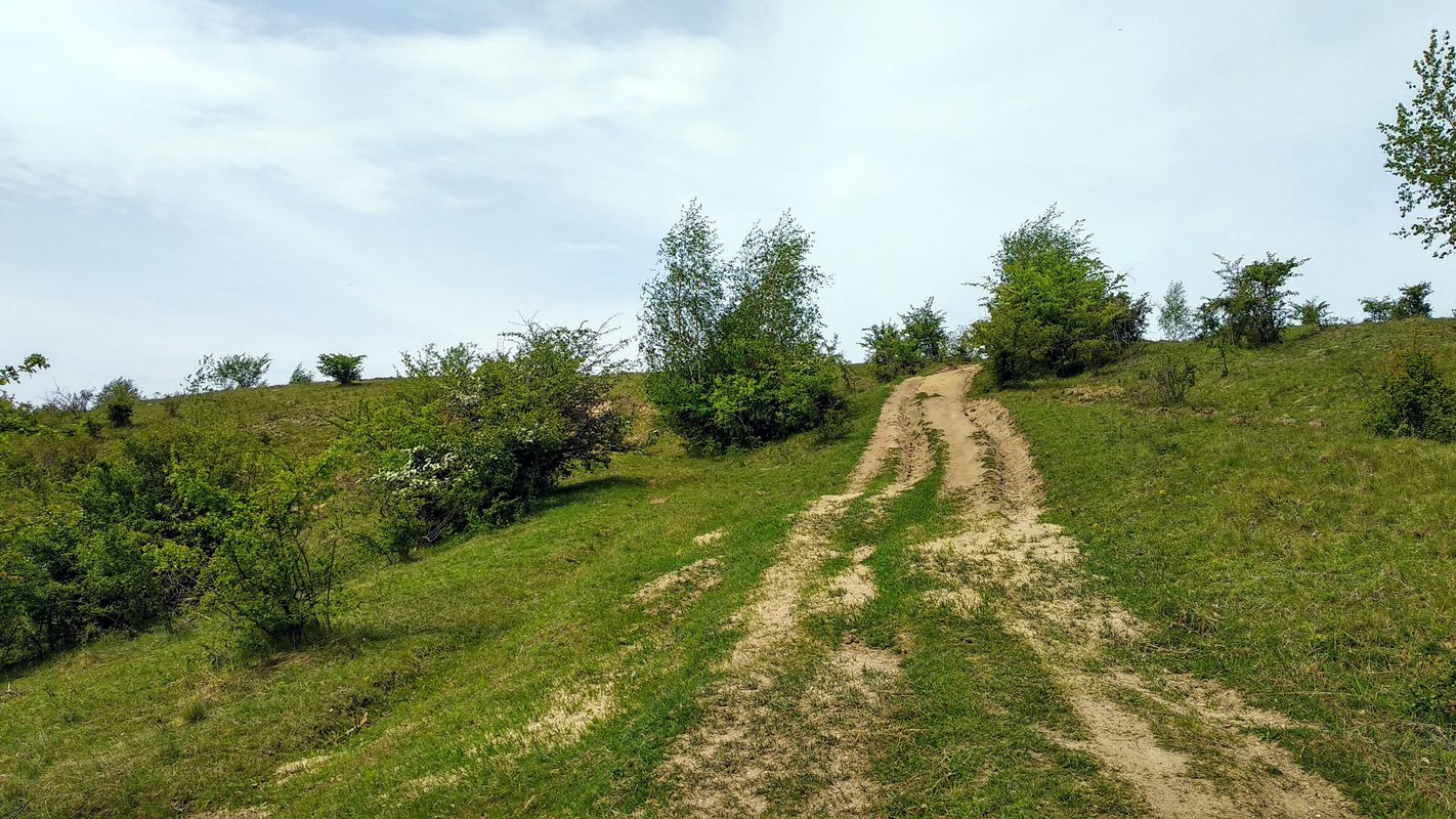 BT Cluj Tura Faget 24.3 Km 550-550m 4h