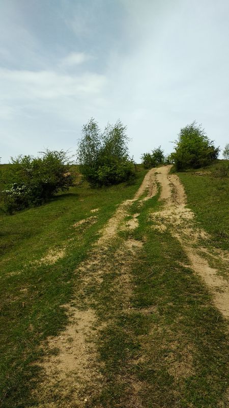 BT Cluj Tura Faget 24.3 Km 550-550m 4h