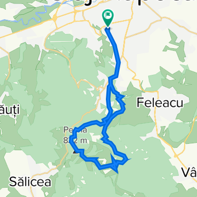 BT Cluj Tura Faget 24.3 Km 550-550m 4h