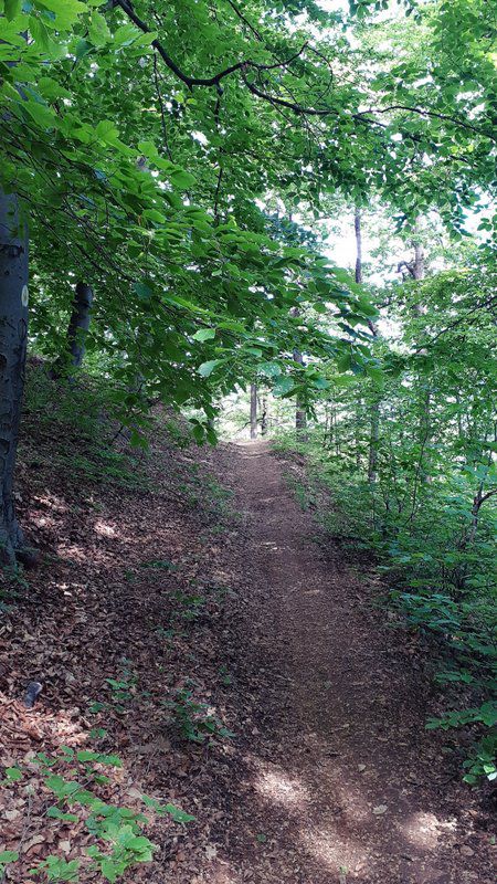 Varianta a punctului galben