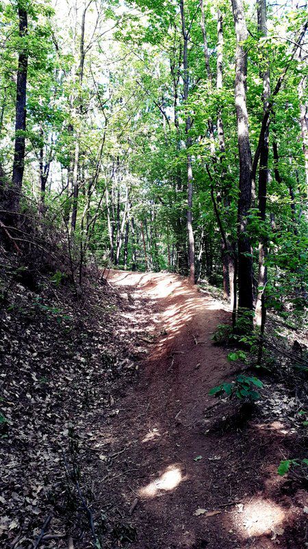 Varianta a punctului galben