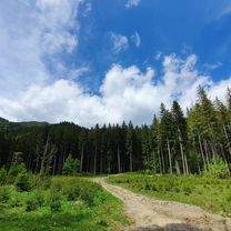 Photo 8 of the Bikemap route "Ardeluta &amp; DF Tarcuta"