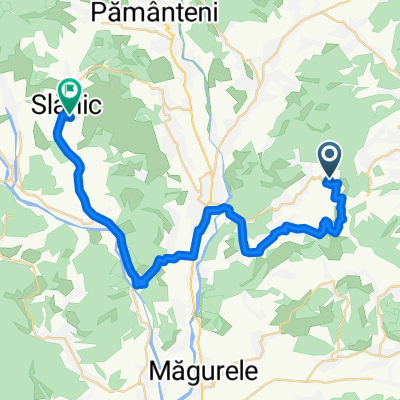 DJ219, Sărari to Strada Salinei 2, Slănic