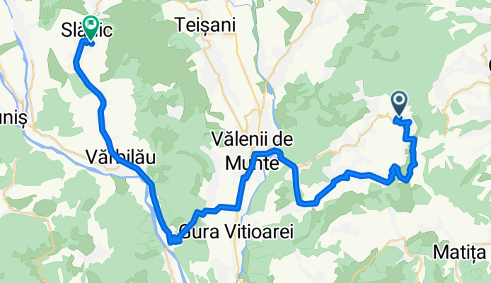 DJ219, Sărari to Strada Salinei 2, Slănic
