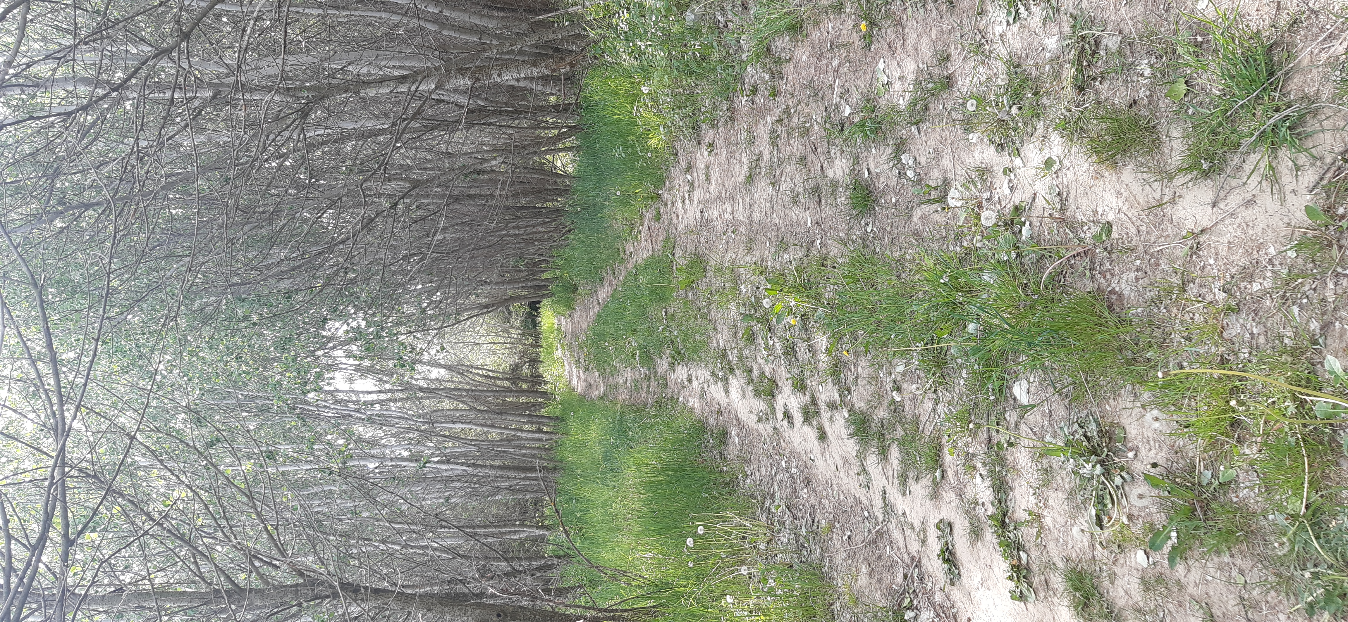 Strada Energiei 2, Roman to DJ207A 944, Sagna