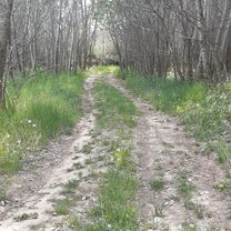 Strada Energiei 2, Roman to DJ207A 944, Sagna