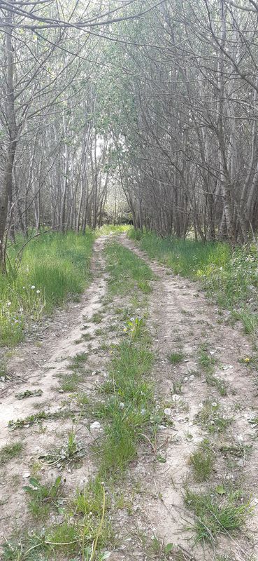 Strada Energiei 2, Roman to DJ207A 944, Sagna