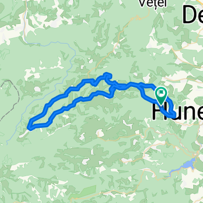 Poiana rachitelii lung