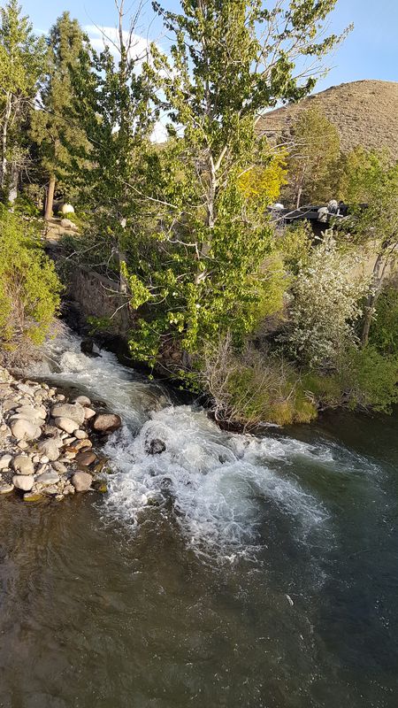 Near Truckee River