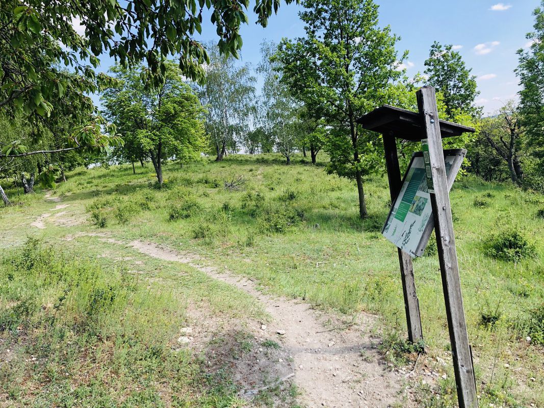 2020.5.16. VELVARY sadama Slaný Kvíc Třebichovice Vinařice KLADNO Čabárna Mozolín Blevice Olovnice Neuměřice VELVARY-Celá tr.- Kauda Šífák