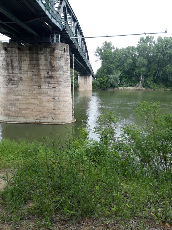 44119 167b, Algyő to Szeder utca 30, Algyő