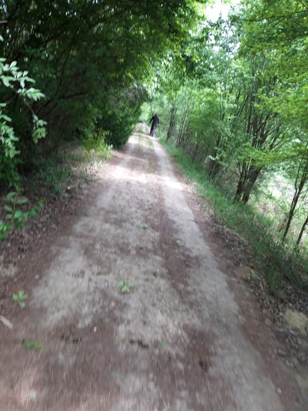 44119 167b, Algyő to Szeder utca 30, Algyő