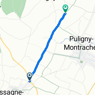 Restful route in Puligny-Montrachet