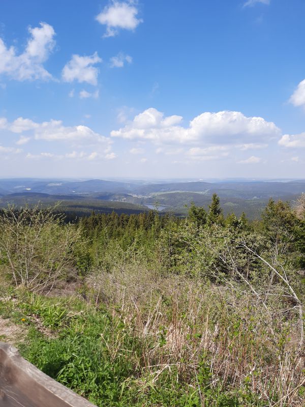 Auersberg