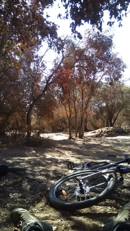 downhill mal paso