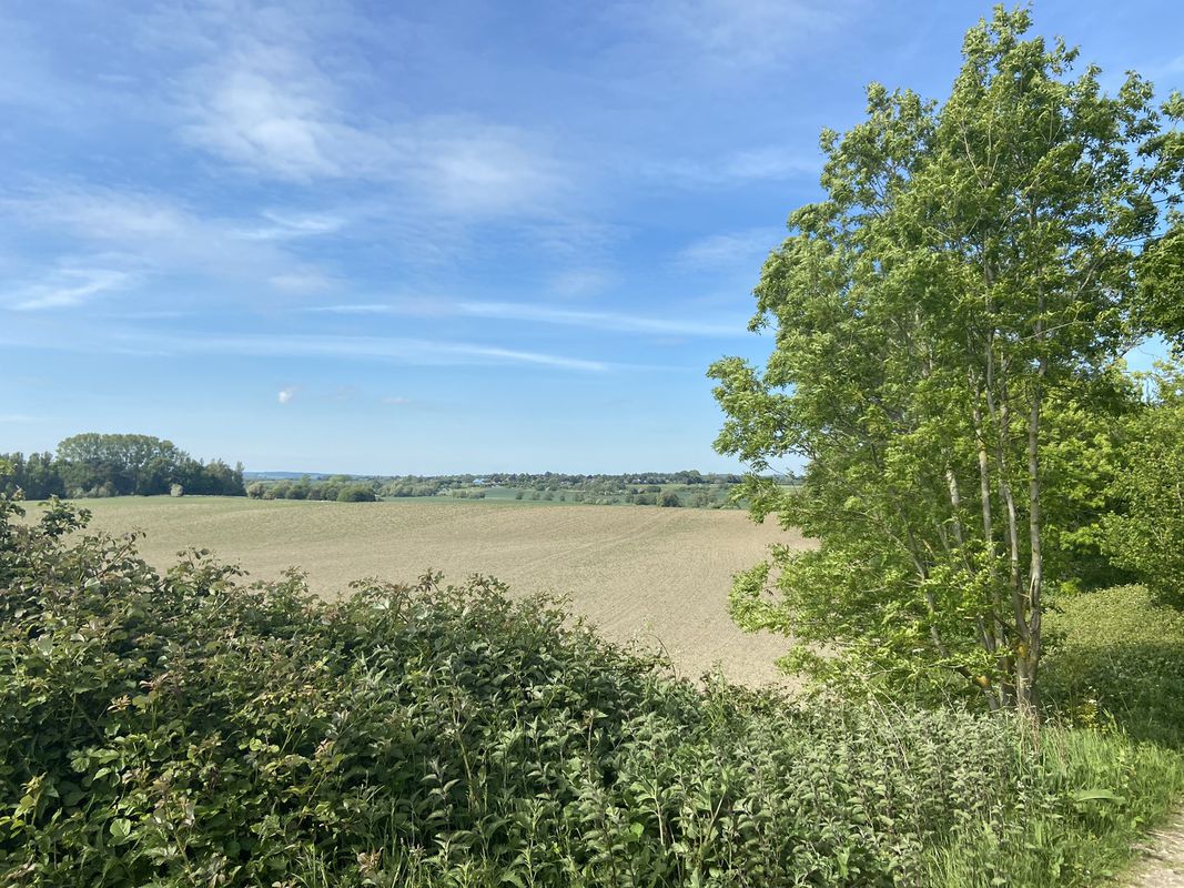 Ashford Road, Ashford to Ashford Road, Ashford