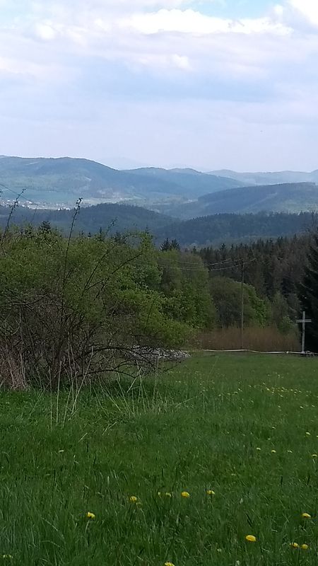 Boguszów-Gorce, przełęcz Rędzińska, Krzeszów, B.Gorce