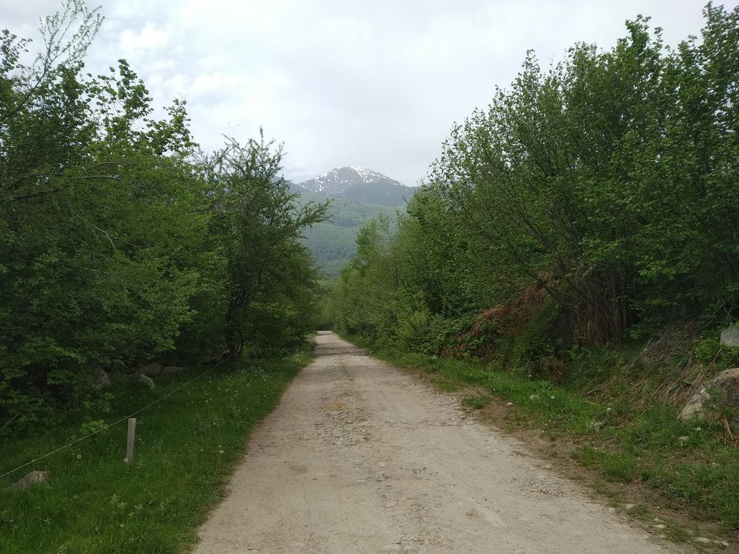 Boykov rid - Ribarnika - Bansko - Razlog