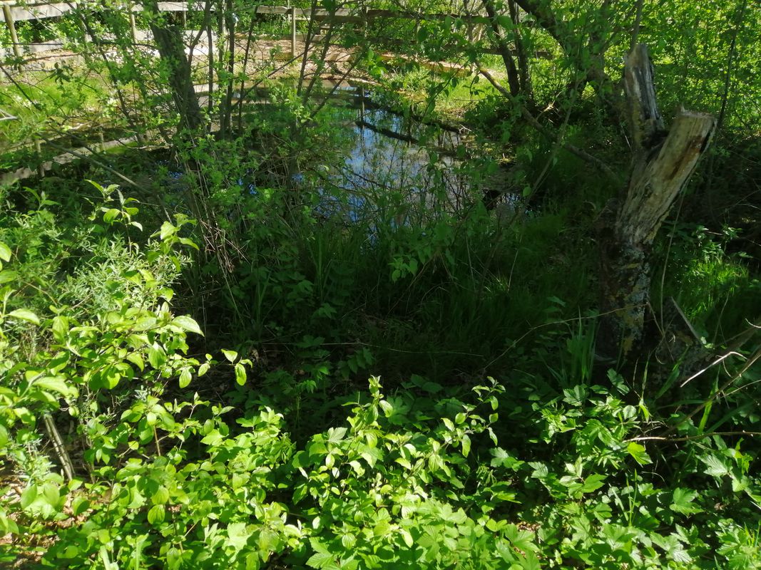 Gründscher Brunnen, Frankenhardt nach Haller Straße 10, Crailsheim