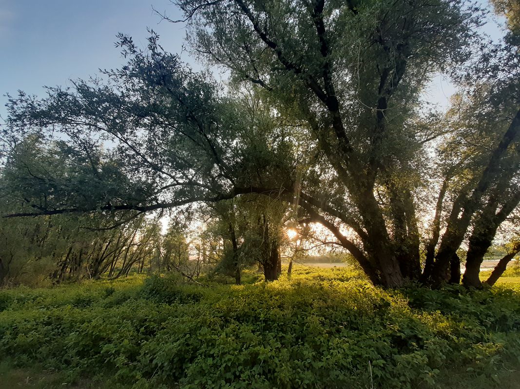 Bijzonder mooie route!!