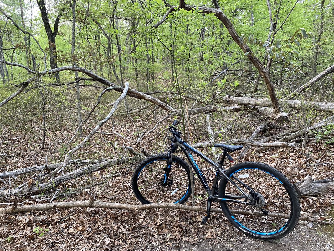 Restful route in Woodbury