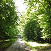 Photo 7 of the Bikemap route "1126, Lopašov do Chropov"