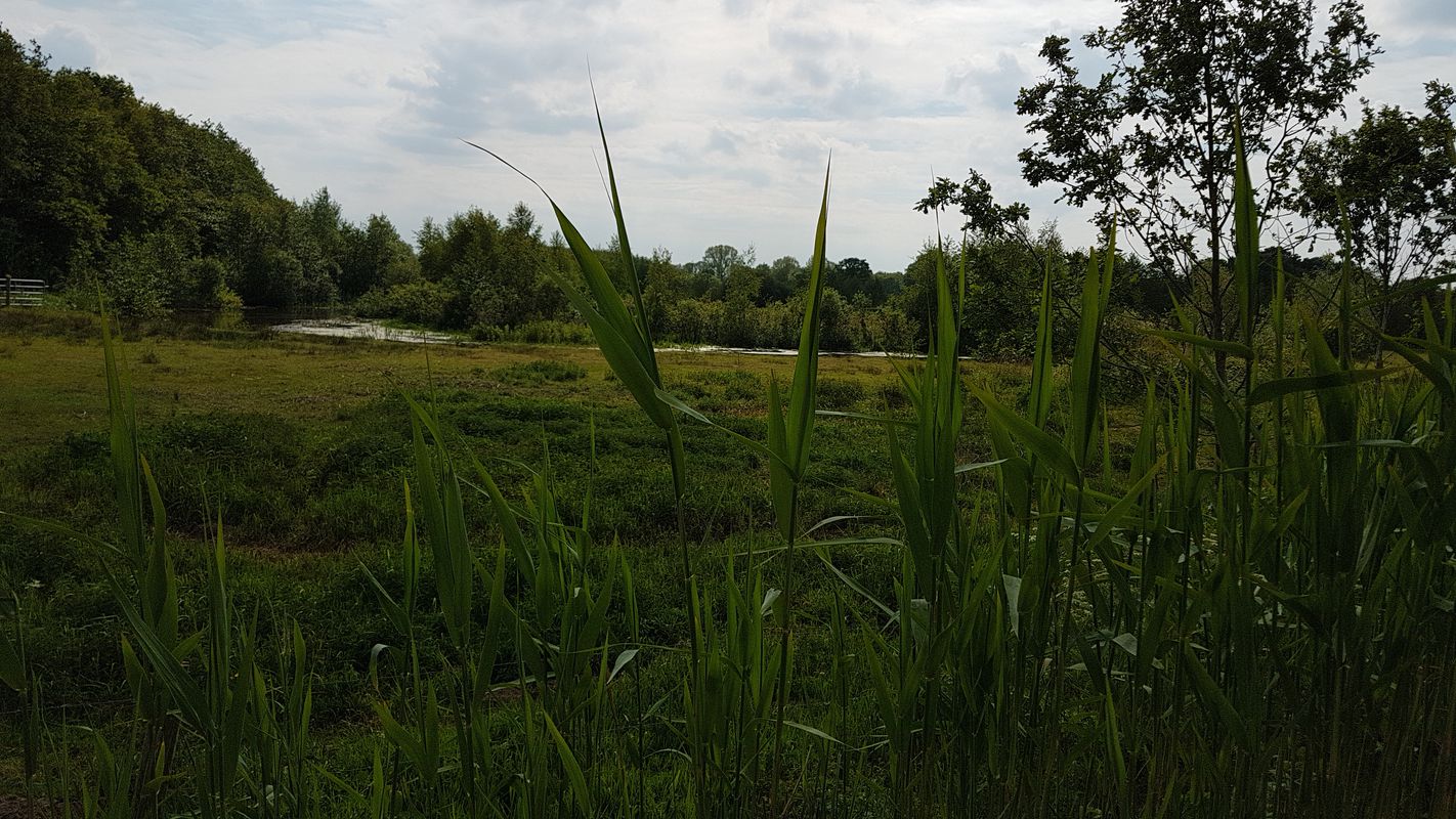 Ossenkampweg 4, Hellendoorn naar Ossenkampweg 4, Hellendoorn