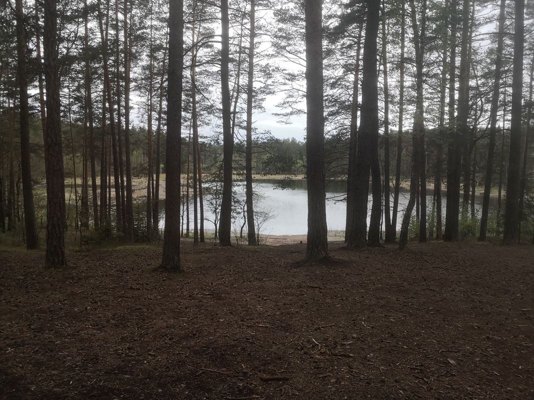 Bajorų kelias 25, Vilnius to Bajorų kelias 21, Vilnius