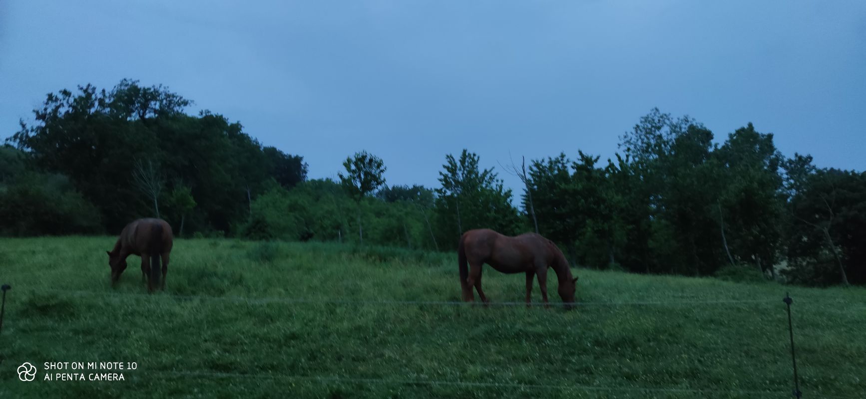E- MTB - Mondolfo - Montemaggiore al Metauro