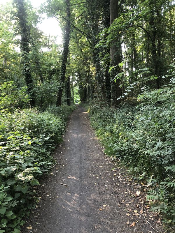 Circuit Borinage OUEST ( bois Colfontaine - terril de Dour, Hornu, Wasmes et Quaregnon