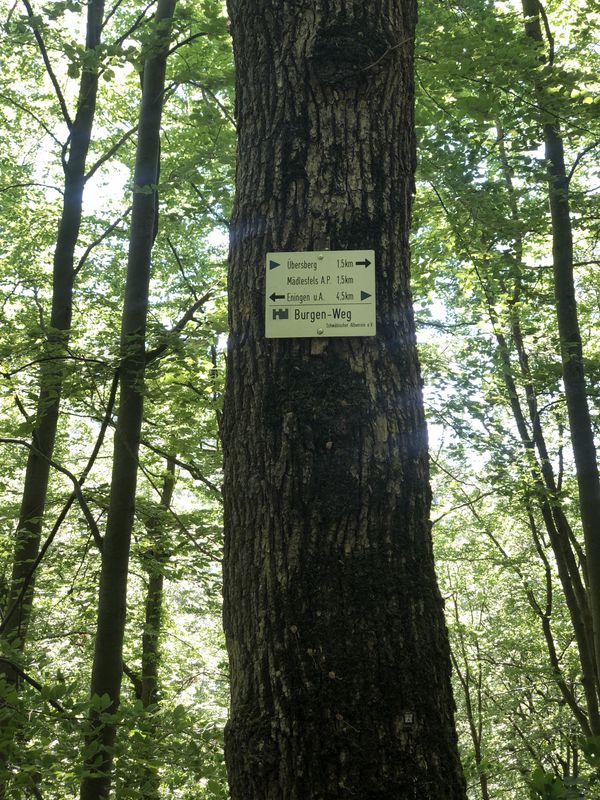 Reutlinger Radtour zum Mädlesfels und über Bad Urach zurück