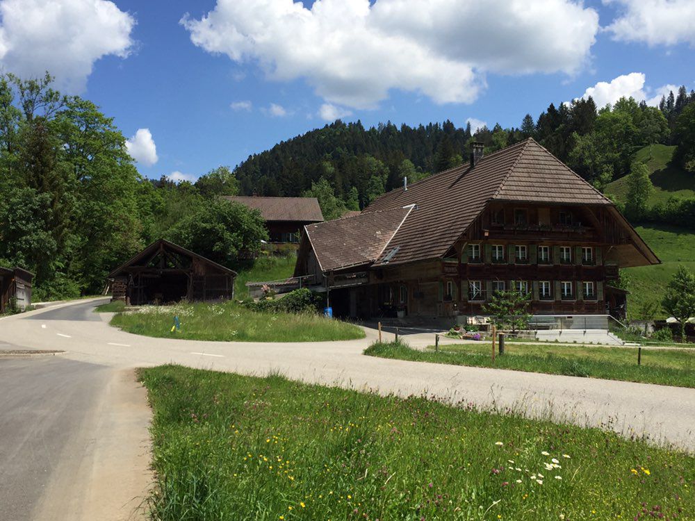 Diepoldsau-Aeschau. 3km