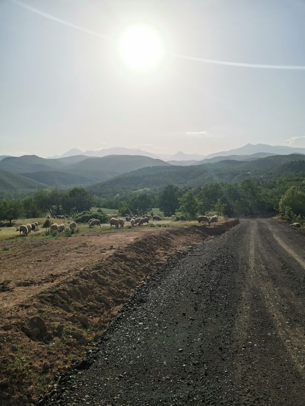 Gevgelija - Novo Konsko - Negorci