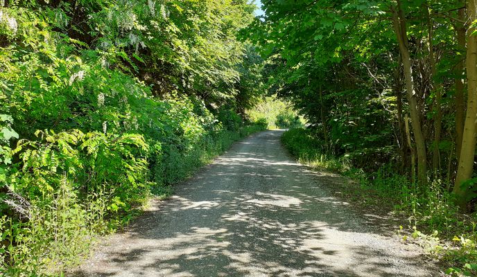 Zdjęcie 1 trasy Bikemap „BBK rotor kustosija-vrapce”